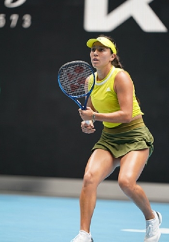 引擎排名中 引擎排名中